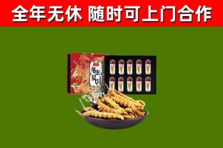 献市回收冬虫夏草价格