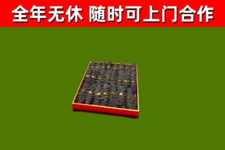 献市回收海参